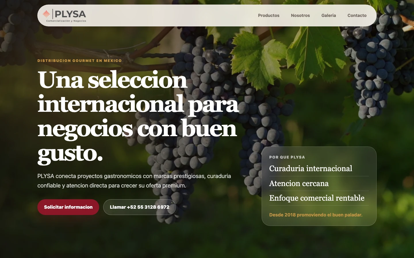 Captura del sitio publicado de PLYSA en escritorio